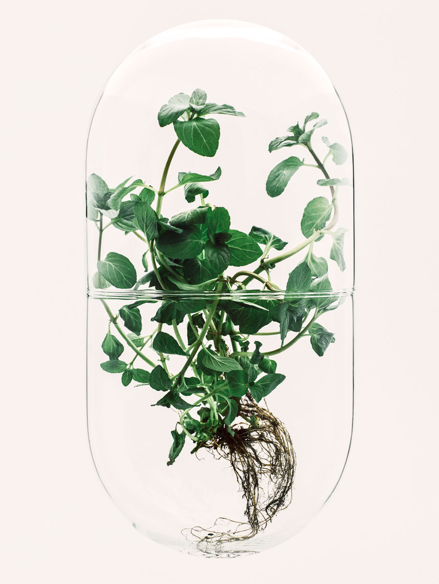 150318_RealSimple_Herbal62510b-2