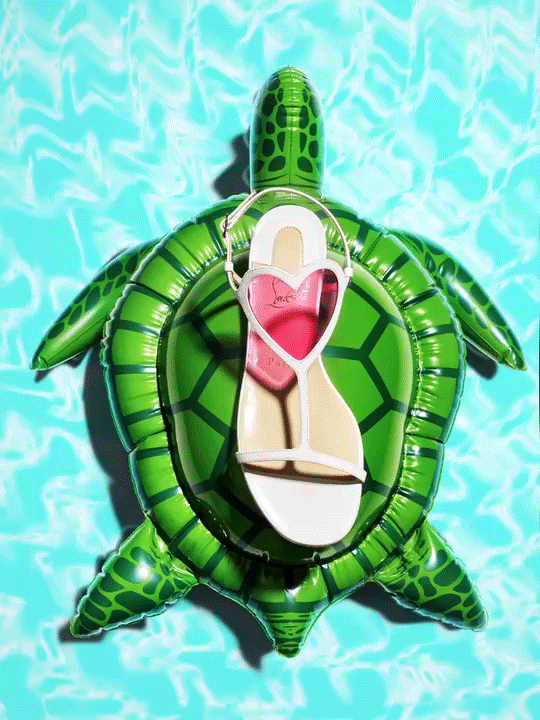 Beach_Party_Turtle